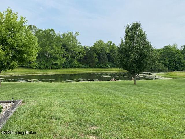 1013 Mallards Cv, Bardstown, KY 40004 - view of community with a water view and a yard