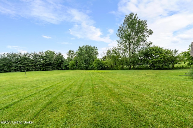 90 Chancellor Ct, Elizabethtown, KY 42701 - view of grassy yard