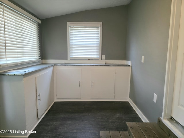 7125 Sky Blue Ave, Louisville, KY 40258 - kitchen featuring vaulted ceiling, white cabinetry, dark wood-type flooring, and light countertops