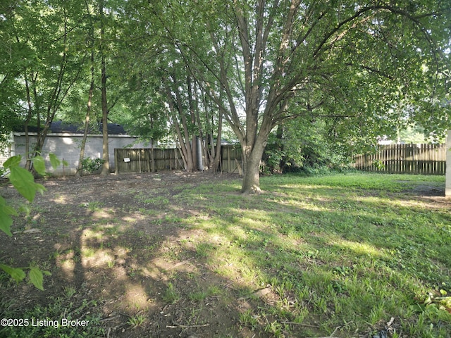 7125 Sky Blue Ave, Louisville, KY 40258 - view of yard
