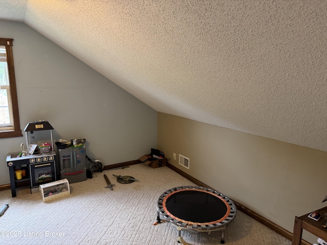 1103 Foxfire Rd, Bardstown, KY 40004 - additional living space with vaulted ceiling, a textured ceiling, baseboards, carpet floors, and healthy amount of natural light