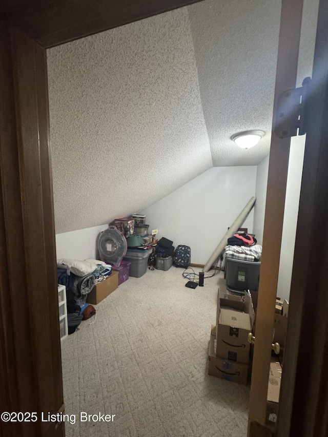 1103 Foxfire Rd, Bardstown, KY 40004 - additional living space featuring a textured ceiling, lofted ceiling, and carpet flooring