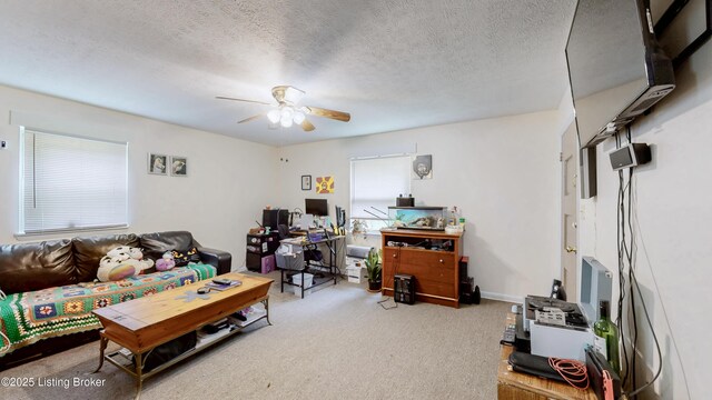 75 Juniper Dr, Shelbyville, KY 40065 - photo 17