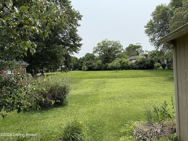 805 Kinross Pl, Douglass Hills, KY 40243 - view of green lawn