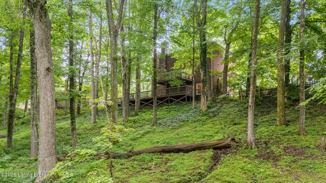 12907 Settlers Point Trl, Goshen, KY 40026 - photo 51