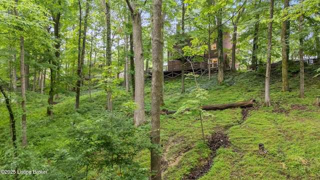 12907 Settlers Point Trl, Goshen, KY 40026 - photo 52