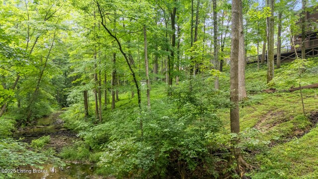 12907 Settlers Point Trl, Goshen, KY 40026 - photo 53