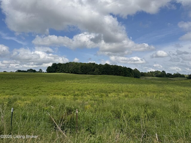 4 Old Salem Church Rd, Greensburg, KY 42743 - photo 8