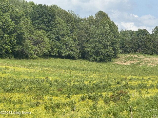 4 Old Salem Church Rd, Greensburg, KY 42743 - photo 9