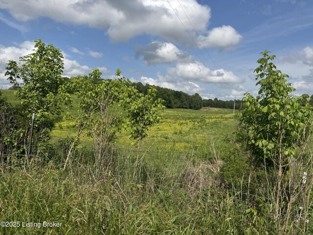 4 Old Salem Church Rd, Greensburg, KY 42743 - photo 10