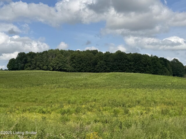 4 Old Salem Church Rd, Greensburg, KY 42743 - photo 11
