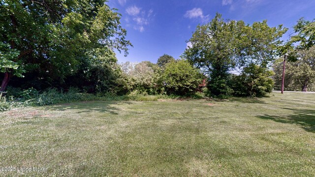 1601 Grange Dr, La Grange, KY 40031 - photo 41