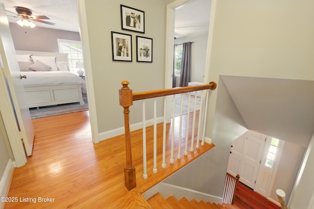 828 Dorsey Ln, Louisville, KY 40223 - stairs featuring wood finished floors, ceiling fan, and baseboards