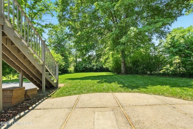 828 Dorsey Ln, Louisville, KY 40223 - view of green lawn with a patio and stairs
