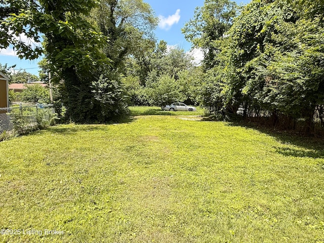 824 S Hancock St, Louisville, KY 40203 - photo 22