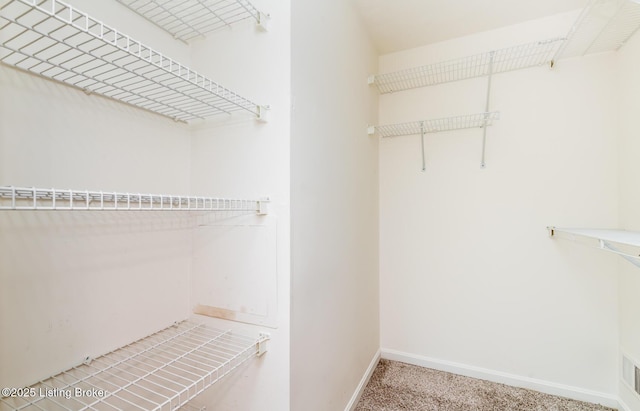 1311 Pollitt Ct, Louisville, KY 40223 - spacious closet with light carpet