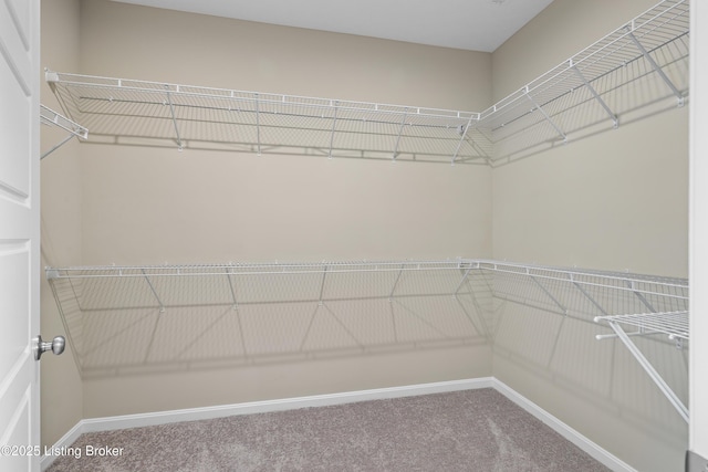 10516 Vista View Dr, Louisville, KY 40291 - walk in closet featuring carpet flooring