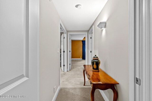 320 Buckland Trce, Louisville, KY 40245 - photo 30