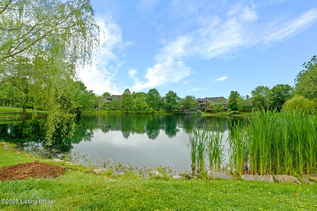 320 Buckland Trce, Louisville, KY 40245 - photo 40