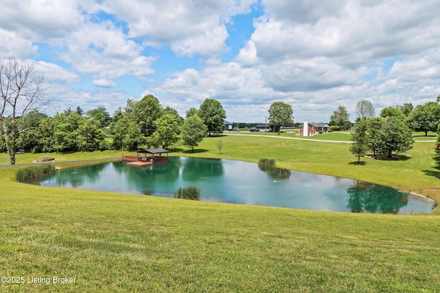 10 Ora Brent Ln, Bardstown, KY 40004 - photo 99