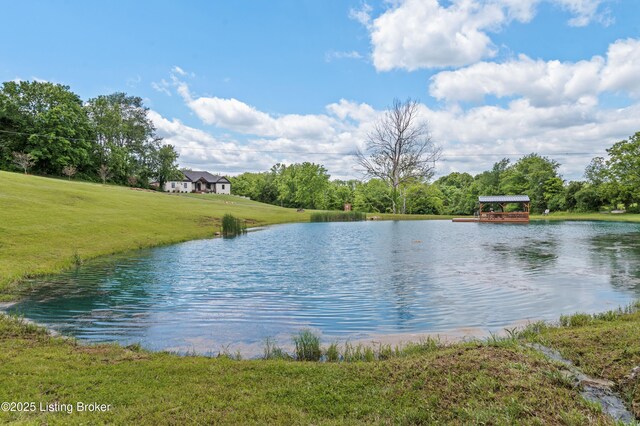 10 Ora Brent Ln, Bardstown, KY 40004 - photo 100
