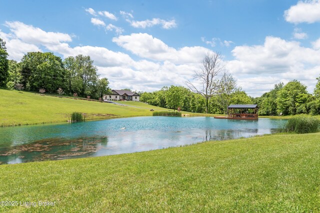 10 Ora Brent Ln, Bardstown, KY 40004 - photo 101