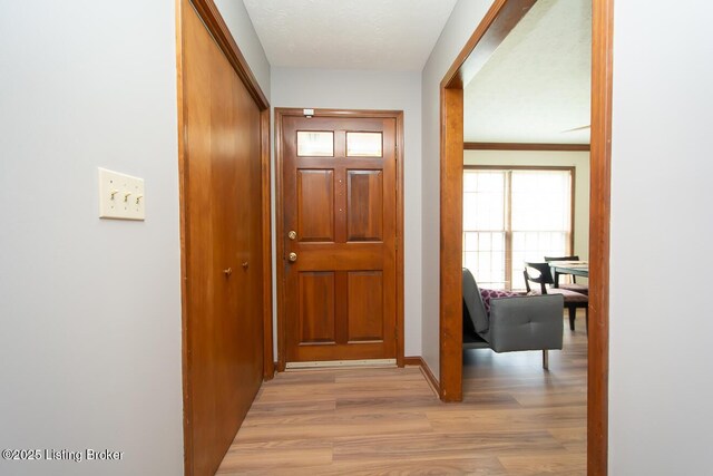 9010 Green Garden Ct, Louisville, KY 40220 - photo 11