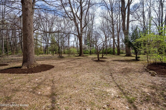 11106 Shady Hollow Dr, Louisville, KY 40241 - photo 55