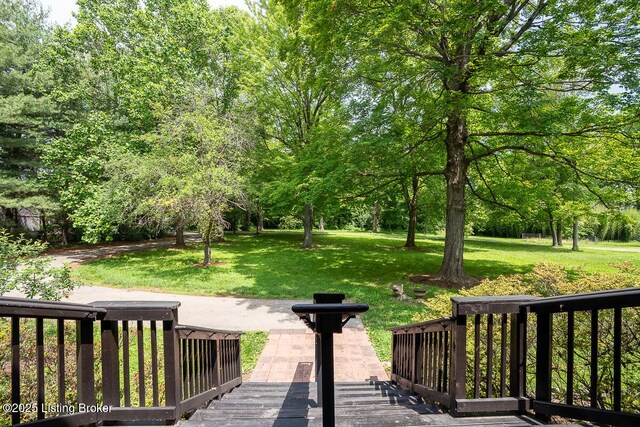 11106 Shady Hollow Dr, Louisville, KY 40241 - photo 65