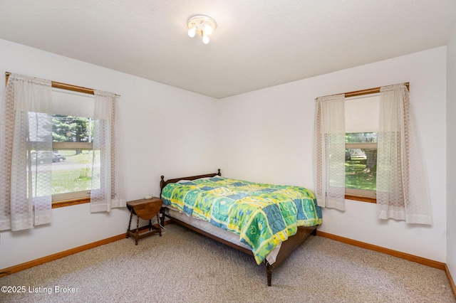 61 Dee St, Elizabethtown, KY 42701 - bedroom with multiple windows, carpet, and baseboards