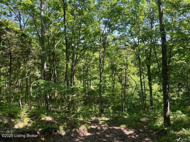 1745 Carters Rd Unit 0, Lockport, KY 40036 - photo 2