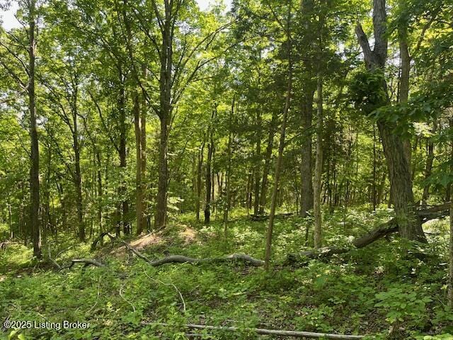 1745 Carters Rd Unit 0, Lockport, KY 40036 - photo 3