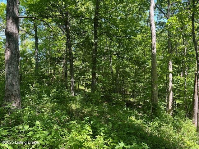 1745 Carters Rd Unit 0, Lockport, KY 40036 - photo 4