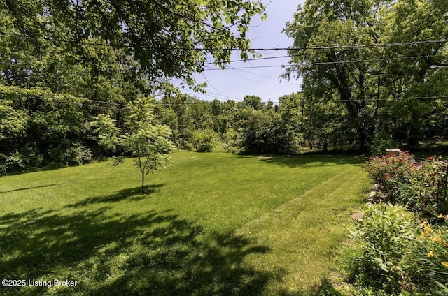 1972 Alice Dr, Lexington, KY 40511 - view of grassy yard