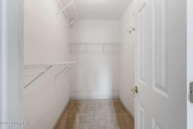 103 Deer Grove Ct, Elizabethtown, KY 42701 - spacious closet featuring carpet flooring
