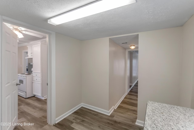 161 Hedgewood Ct, Louisville, KY 40229 - photo 29