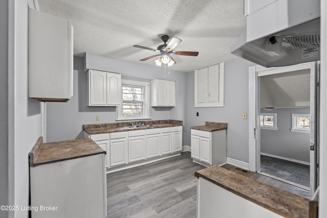 2733 Dumesnil St, Louisville, KY 40211 - kitchen featuring white cabinetry, dark countertops, a ceiling fan, a textured ceiling, and plenty of natural light