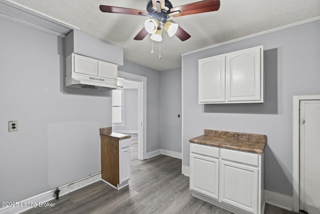 2733 Dumesnil St, Louisville, KY 40211 - kitchen featuring a textured ceiling, white cabinets, a ceiling fan, dark wood-style floors, and dark countertops