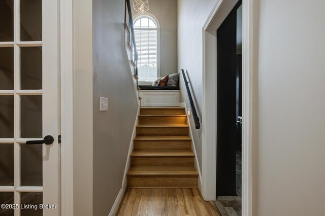 1512 Crosstimbers Dr, Louisville, KY 40245 - photo 24