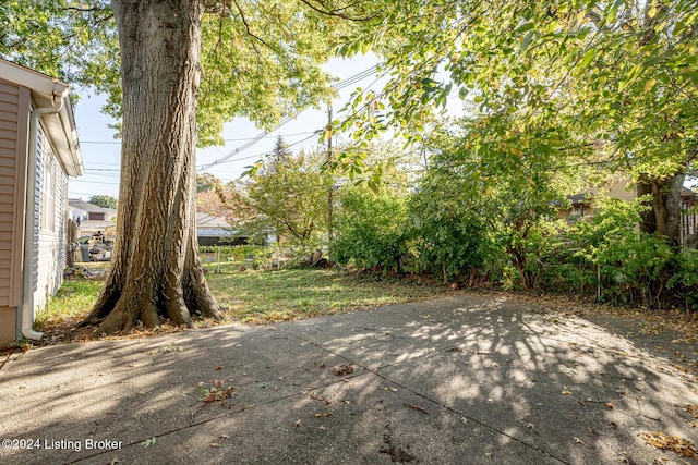 1828 Rutherford Ave, Louisville, KY 40205 - photo 52