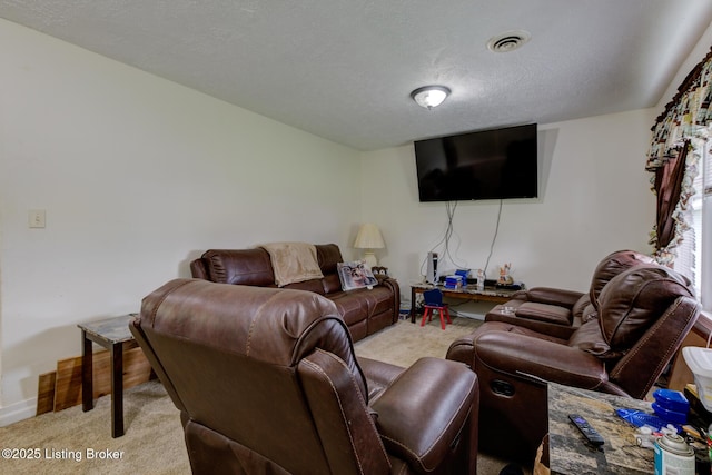 14499 S S Highway 259, Leitchfield, KY 42754 - living area featuring light colored carpet and a textured ceiling