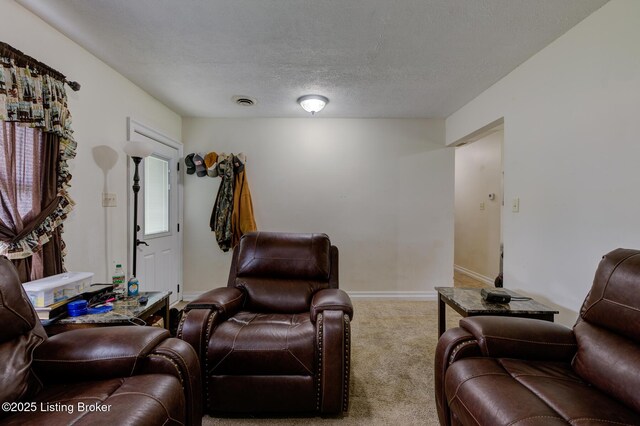 14499 S S Highway 259, Leitchfield, KY 42754 - living area featuring carpet flooring and a textured ceiling