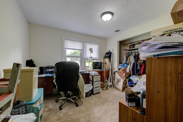 14499 S S Highway 259, Leitchfield, KY 42754 - office featuring light colored carpet and a textured ceiling