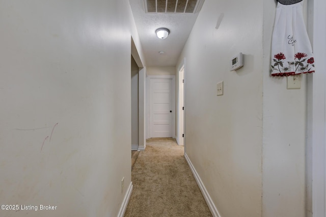 14499 S S Highway 259, Leitchfield, KY 42754 - hall featuring light carpet and a textured ceiling