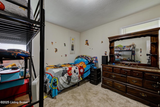 14499 S S Highway 259, Leitchfield, KY 42754 - bedroom with carpet and a textured ceiling