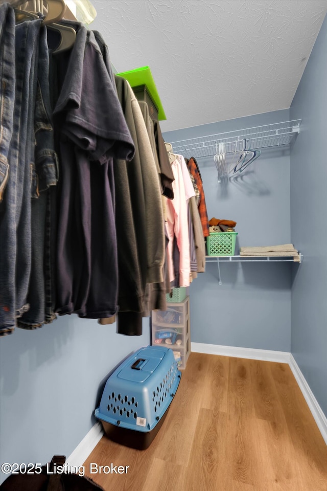 204 Greenleaf Dr, Elizabethtown, KY 42701 - spacious closet featuring wood finished floors