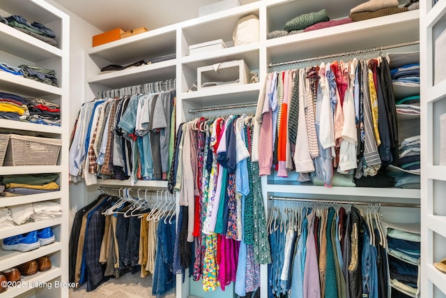17716 Shakes Creek Dr, Fisherville, KY 40023 - walk in closet featuring carpet floors
