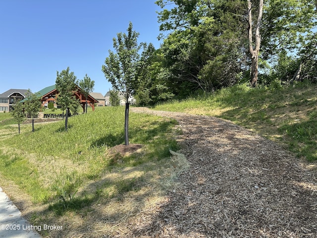 17716 Shakes Creek Dr, Fisherville, KY 40023 - view of road