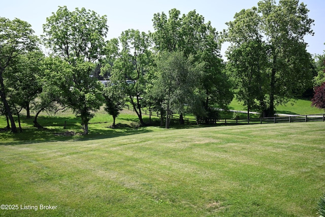 1025 Lake Rd, Campbellsburg, KY 40011 - view of yard