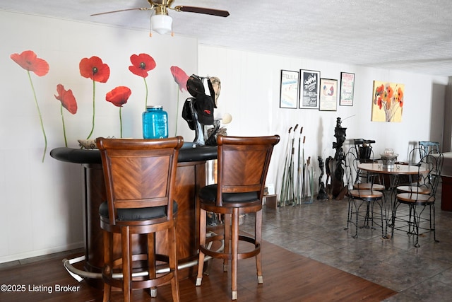 1025 Lake Rd, Campbellsburg, KY 40011 - indoor dry bar with a ceiling fan, a textured ceiling, and dark wood-style flooring
